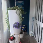 Nocleg ze śniadaniem Face 3*